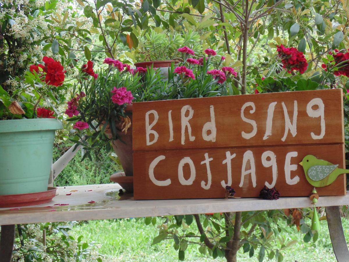 Birdsing Cottage Dassia  Exterior photo